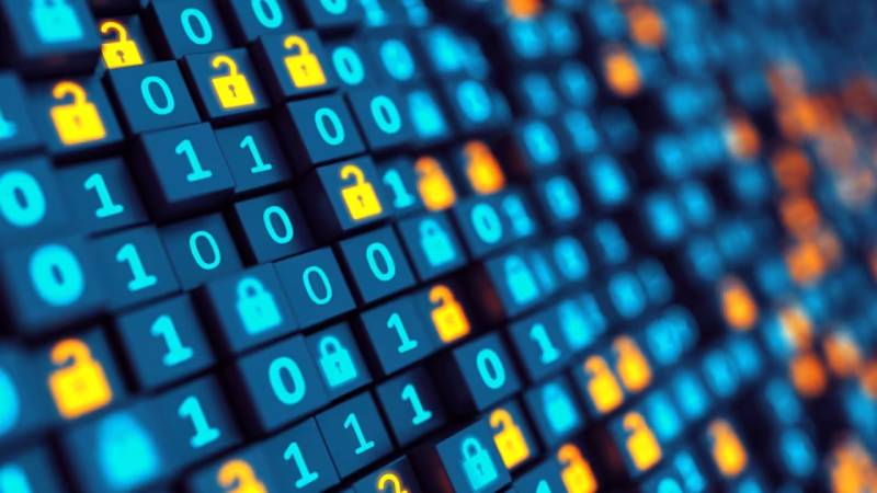 师宗县软件定制:数据管理效能的核心密钥